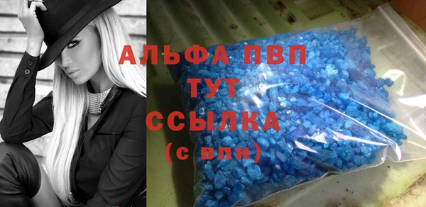 индика Магадан