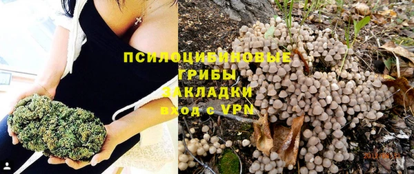 бошки Майский